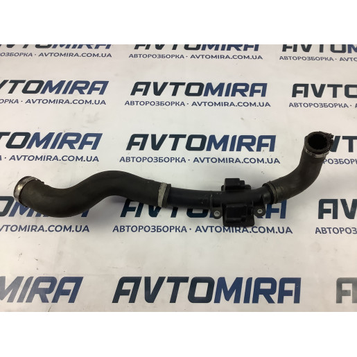 Патрубок інтеркулера Renault Kangoo 2008-2016 8200534296