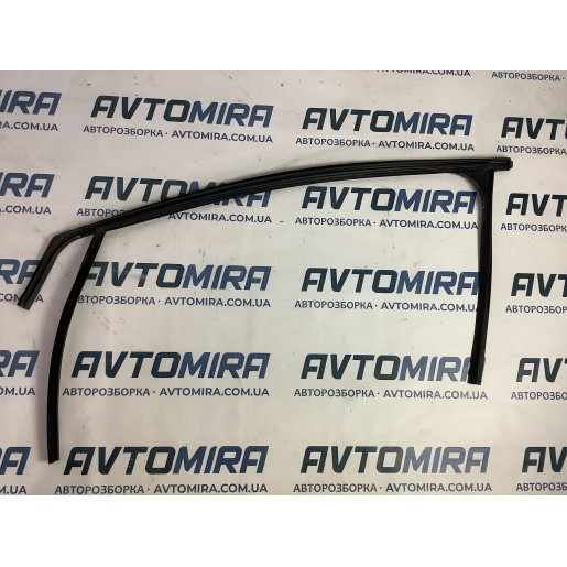Ущільнювач скла двері передньої правої Ford Focus 2 1685043